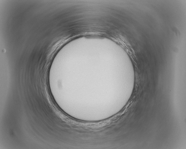 X0000115540001200912041021