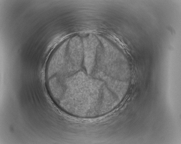 X0000115540002200912041021