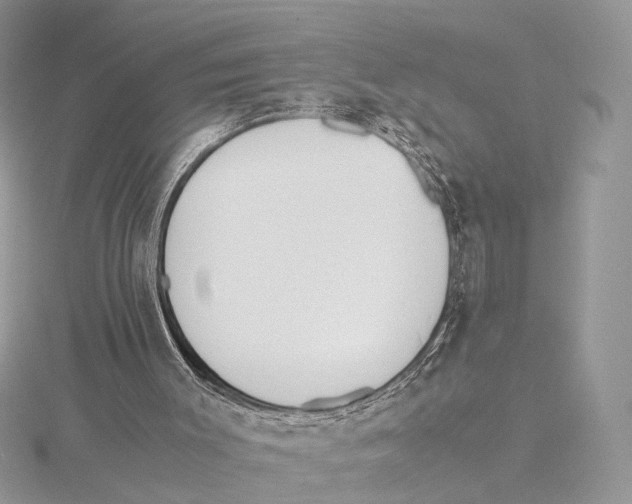 X0000115540003200912041021