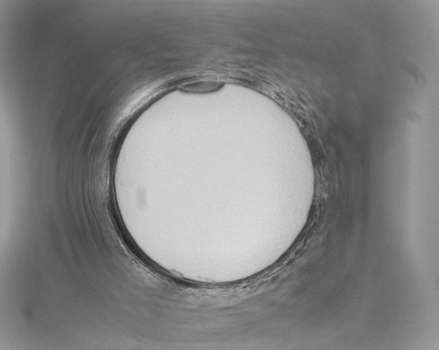 X0000115540005200912041021