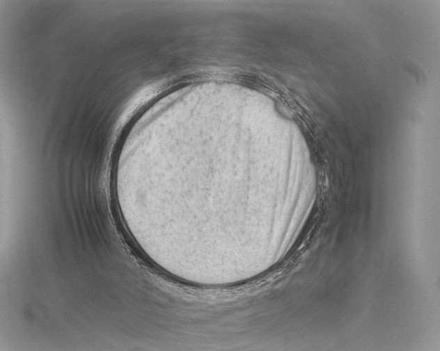 X0000115540006200912041021