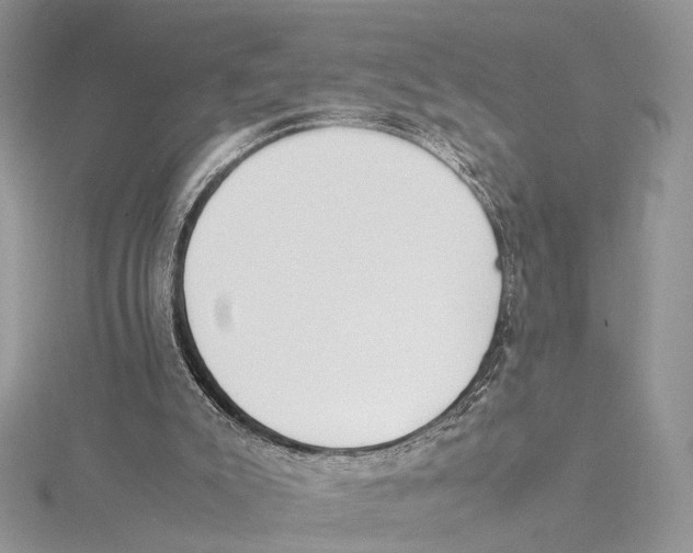 X0000115540007200912041021