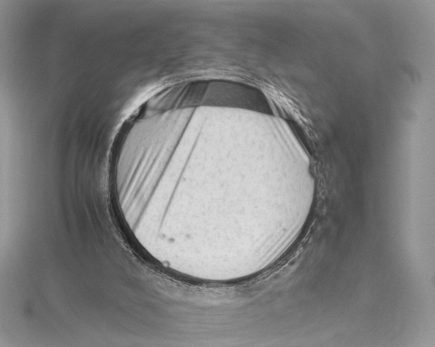 X0000115540008200912041021