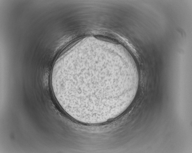 X0000115540010200912041021