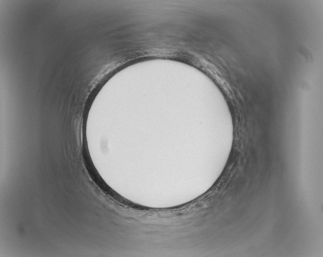 X0000115540011200912041021