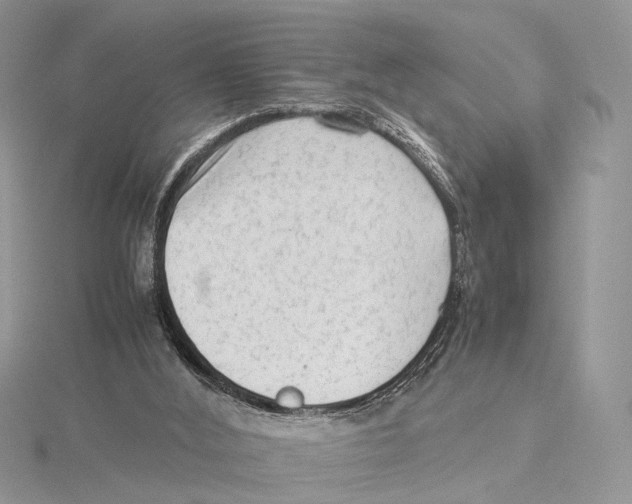 X0000115540012200912041021