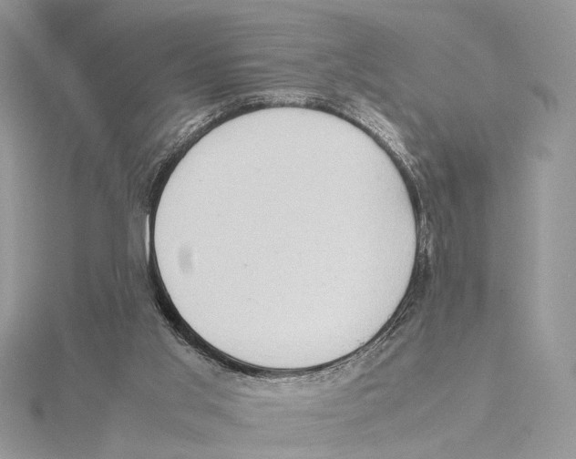 X0000115540013200912041021