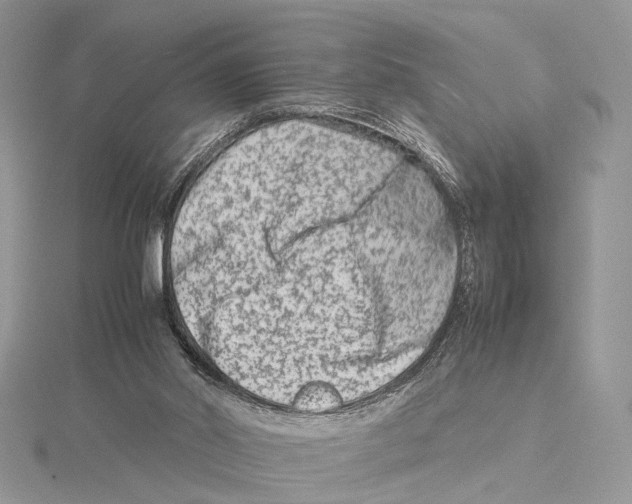 X0000115540014200912041021