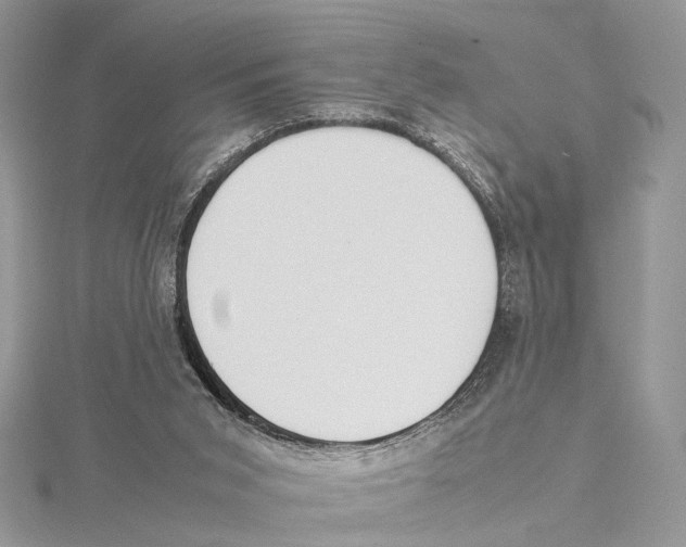 X0000115540015200912041021