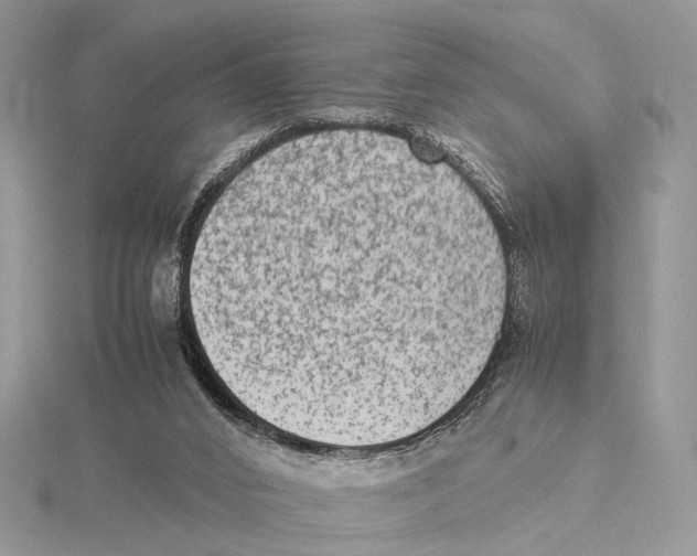 X0000115540016200912041021