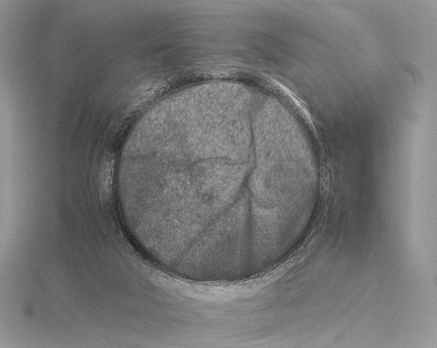 X0000115540018200912041021