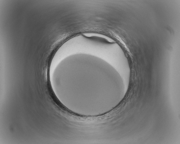 X0000115540019200912041021