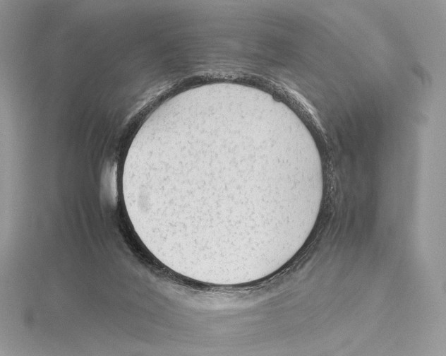 X0000115540020200912041021