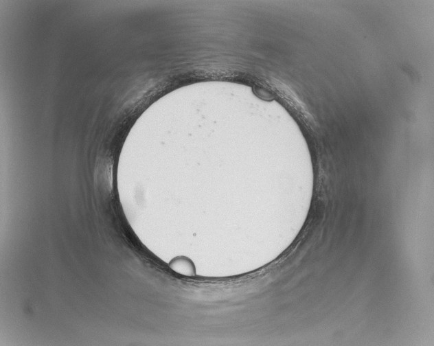 X0000115540021200912041021