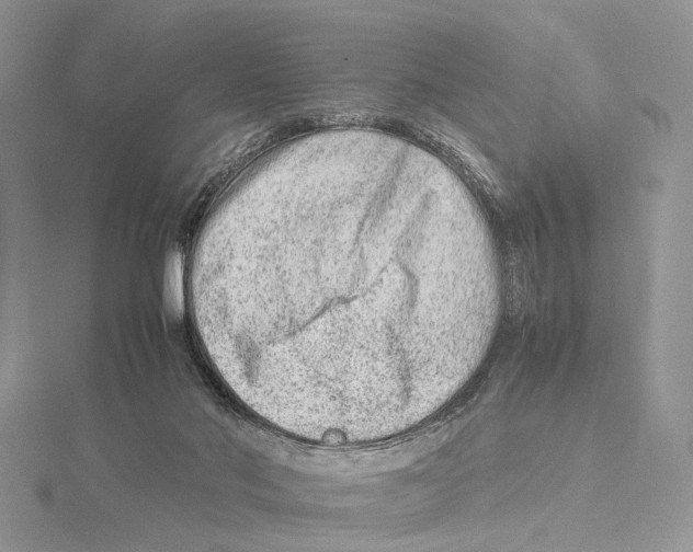 X0000115540022200912041021