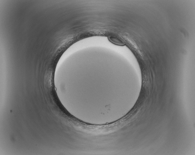 X0000115540023200912041021