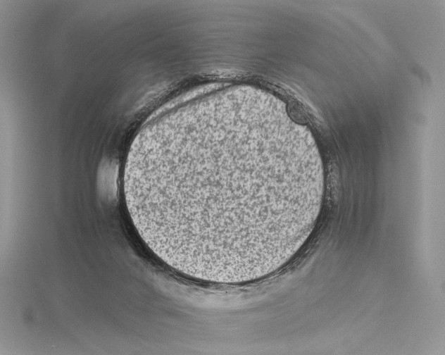 X0000115540024200912041021