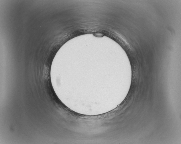 X0000115540025200912041020