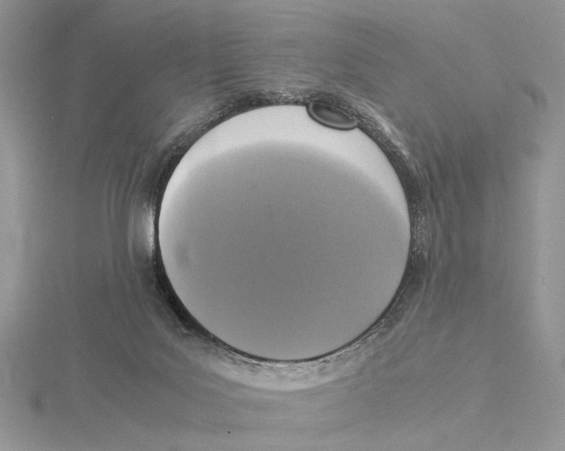 X0000115540027200912041020