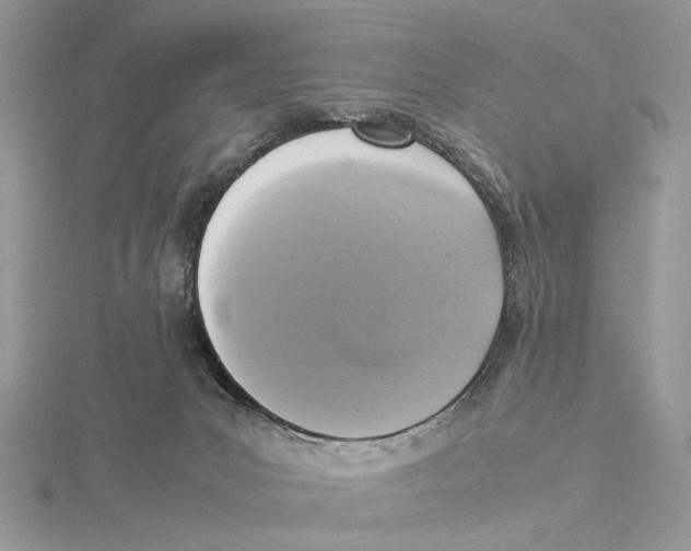 X0000115540031200912041020