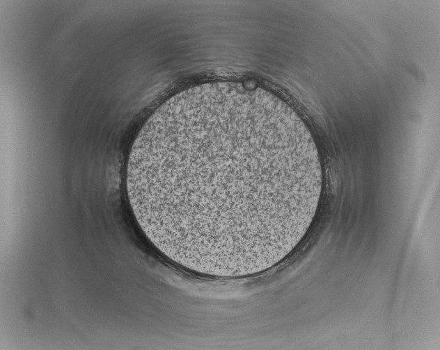 X0000115540032200912041020