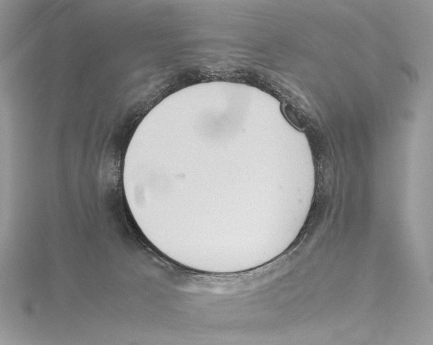 X0000115540033200912041020