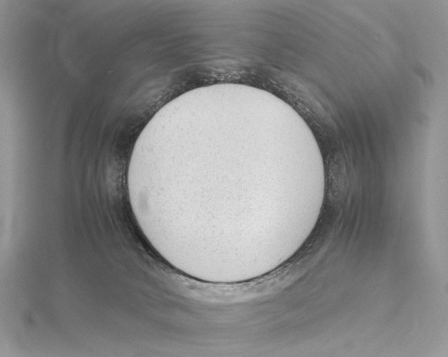 X0000115540034200912041020