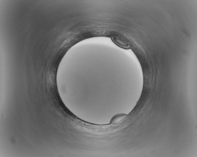 X0000115540035200912041020