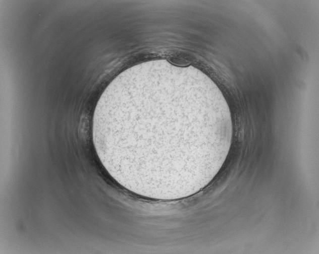 X0000115540036200912041020