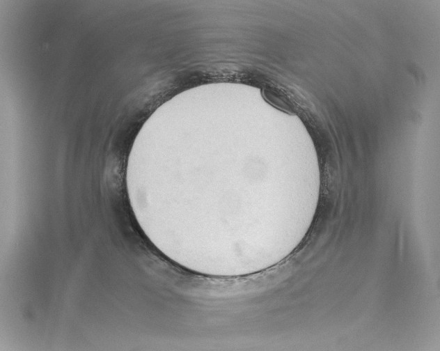 X0000115540037200912041020