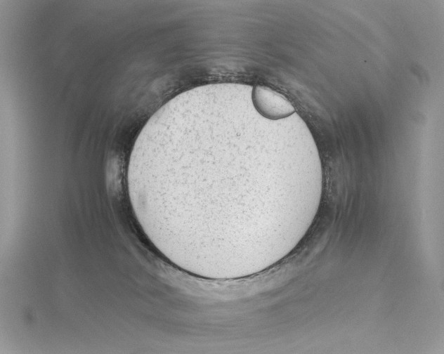 X0000115540038200912041020