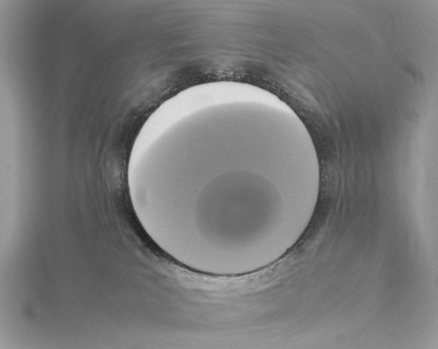 X0000115540039200912041020