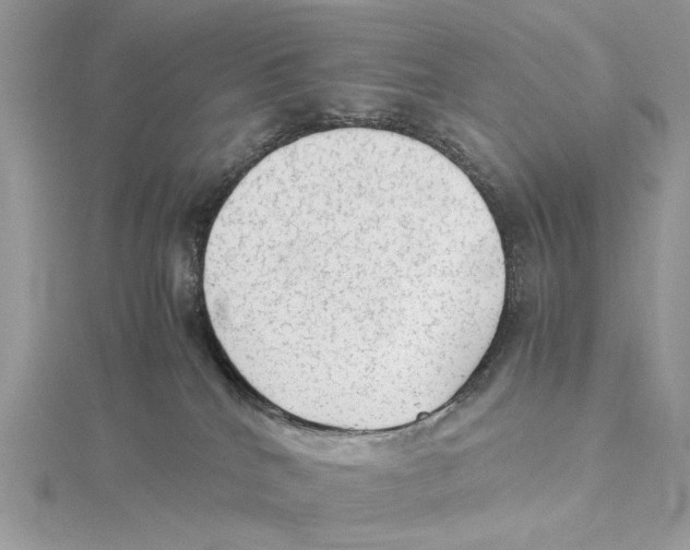 X0000115540040200912041020