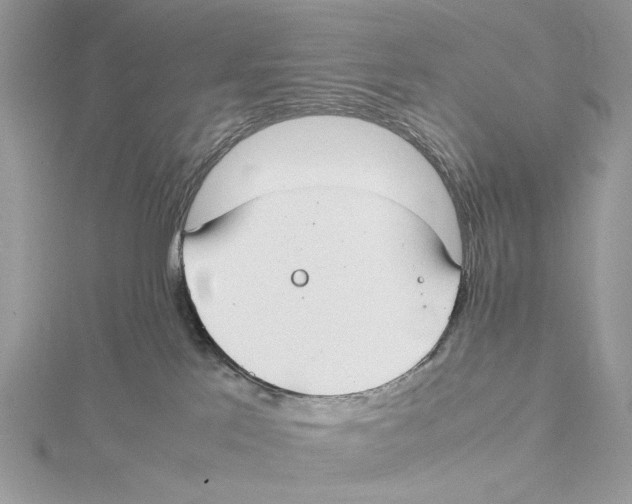 X0000115540041200912041020