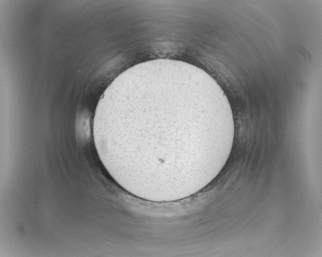 X0000115540042200912041020