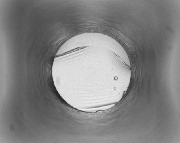 X0000115540043200912041020