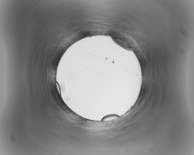 X0000115540045200912041020