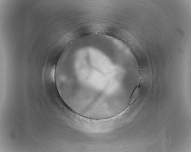 X0000115540047200912041020