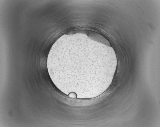 X0000115540048200912041020