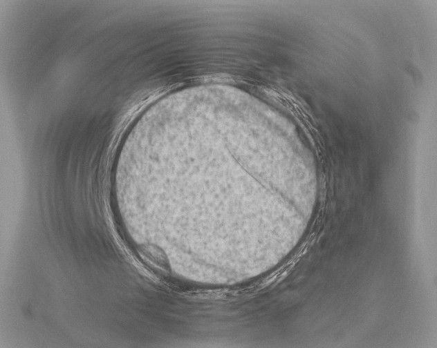 X0000115540049200912041019