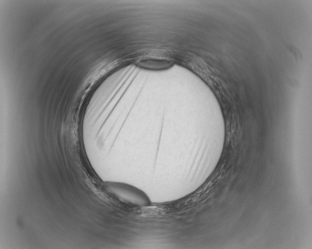 X0000115540050200912041019