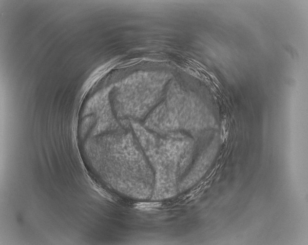 X0000115540051200912041019