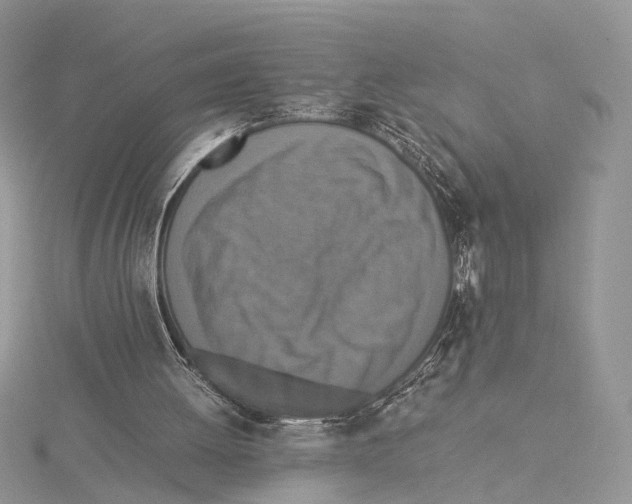 X0000115540052200912041019