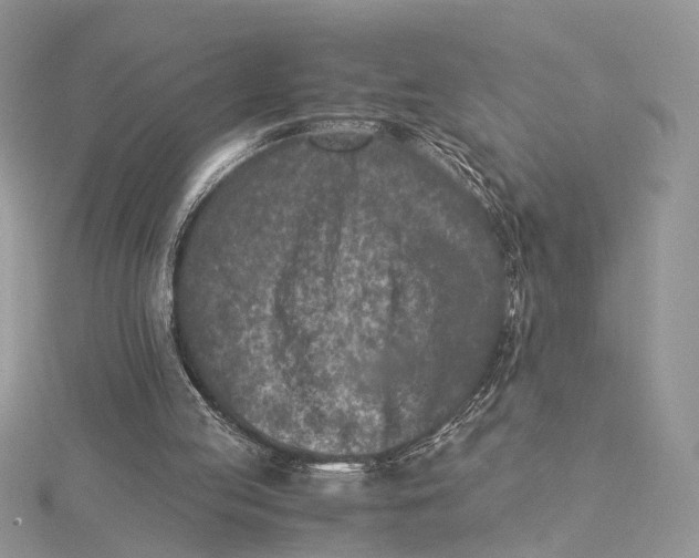 X0000115540053200912041019