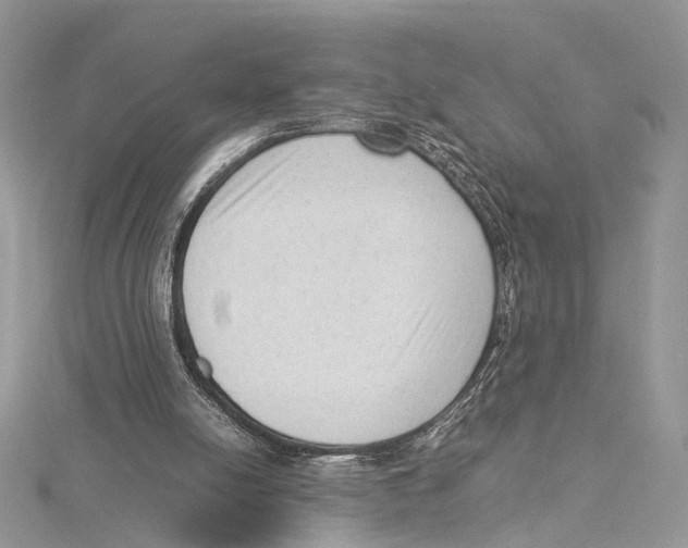 X0000115540054200912041019