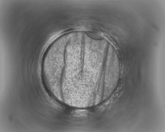 X0000115540055200912041019