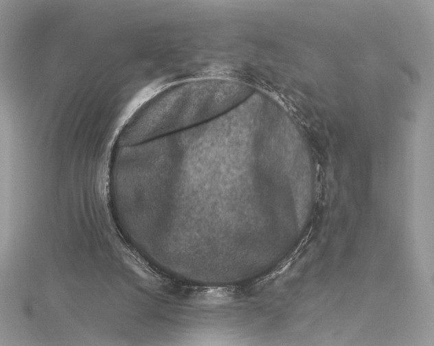 X0000115540056200912041019