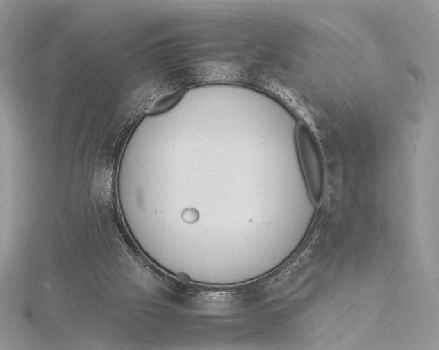 X0000115540057200912041019