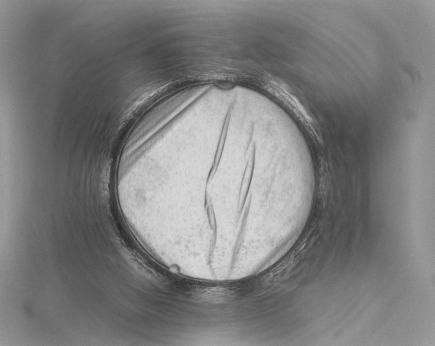 X0000115540058200912041019