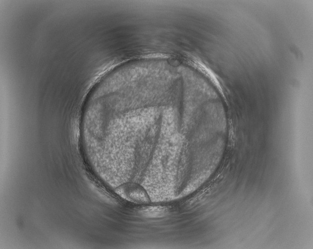 X0000115540059200912041019